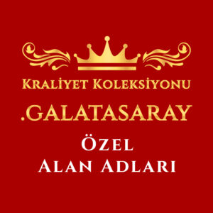 .galatasaray-Domain